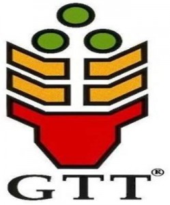 Fundación GTT