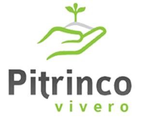 Vivero pitrinco