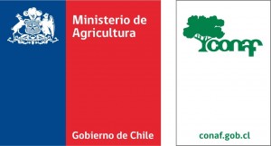 minagriCONAF4.1-2011